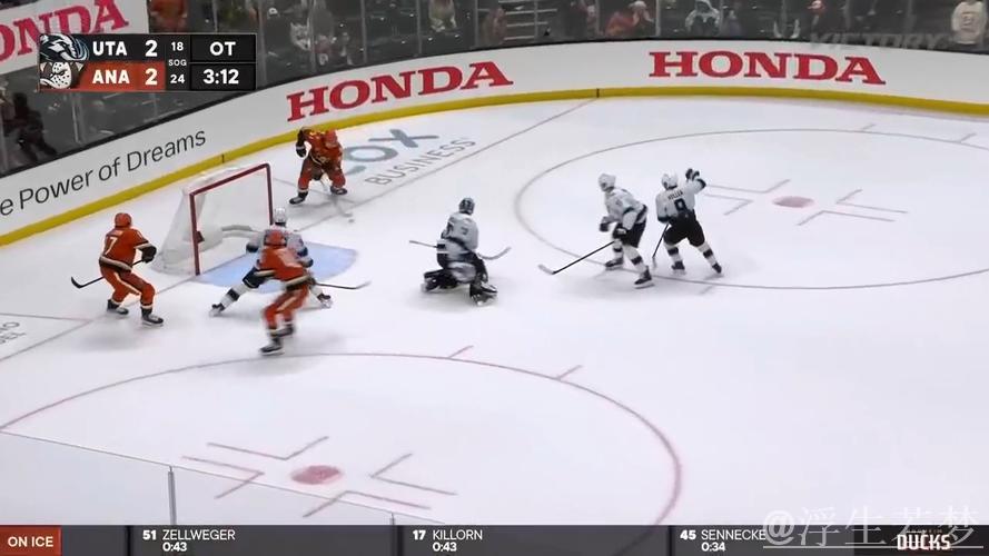 纽约游骑兵对决阿纳海姆小鸭：常规赛较量